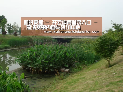案例展示四(图1)