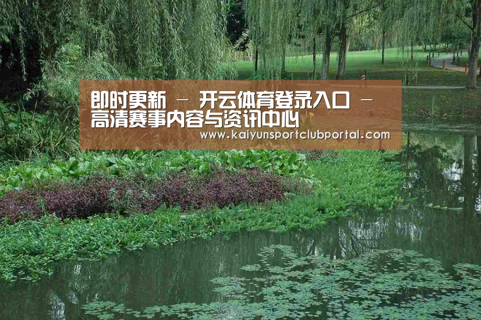 案例展示一(图1)