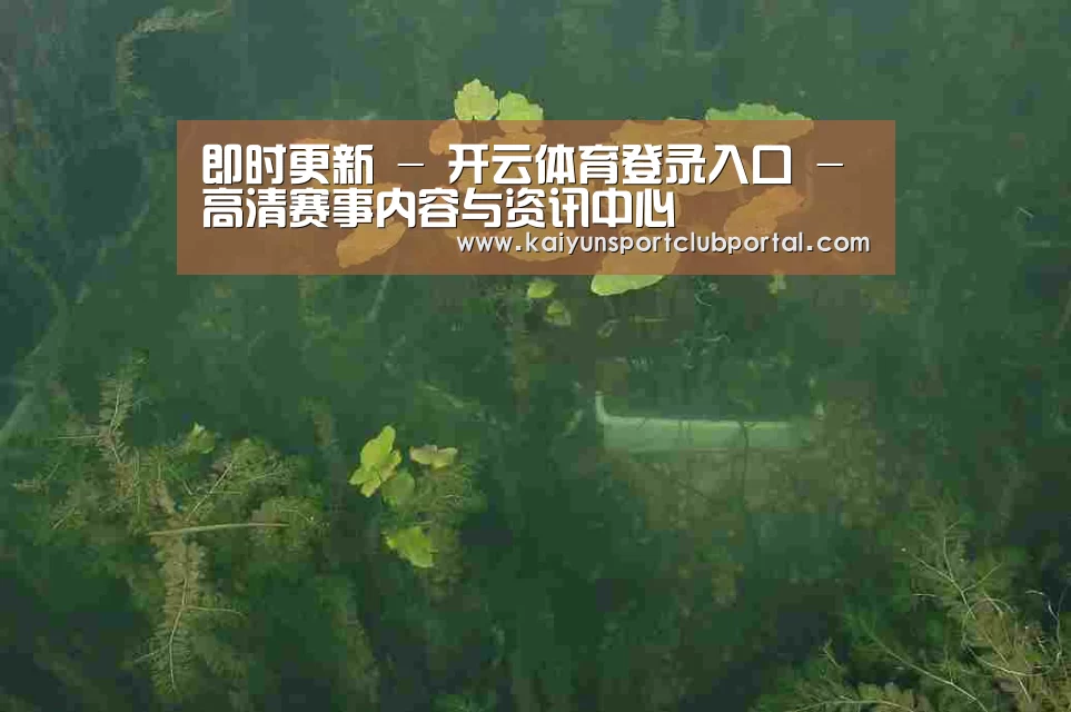案例展示三(图1)