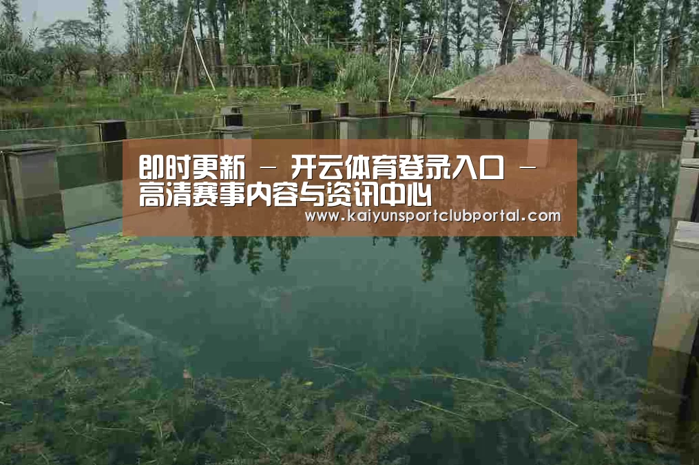 案例展示二(图1)