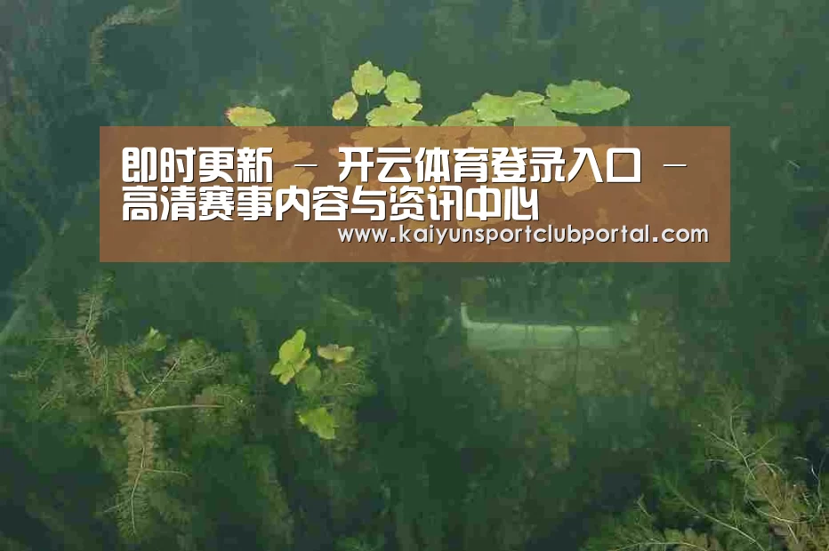 案例展示三