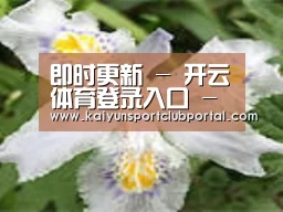 产品名称二