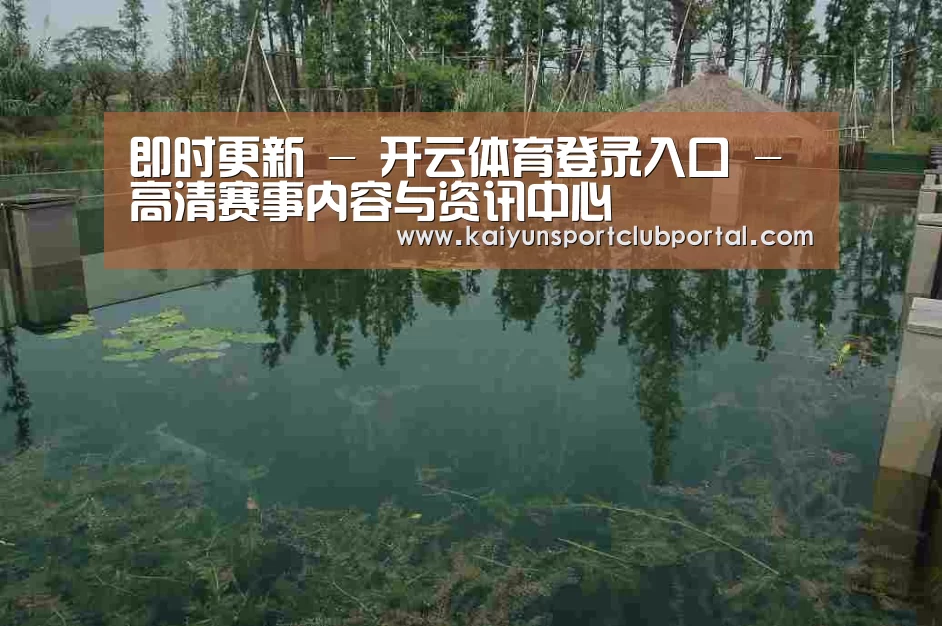 案例展示二