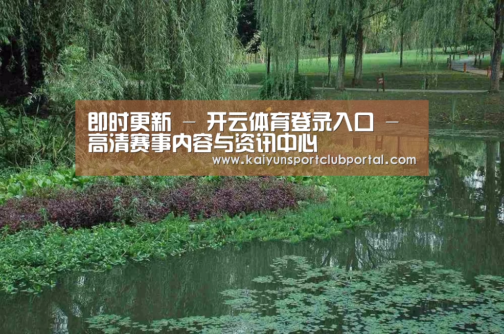 案例展示一