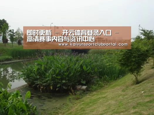 案例展示四