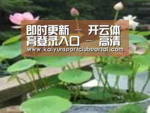 产品名称一