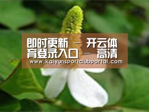 产品名称三