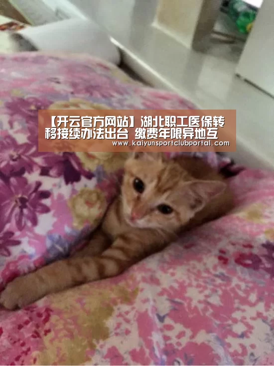 【开云官方网站】湖北职工医保转移接续办法出台 缴费年限异地互认(图1) 开云官方网站