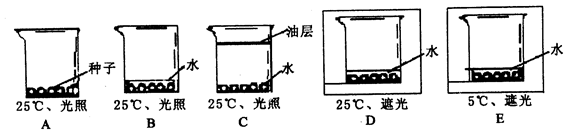 开云体育官网