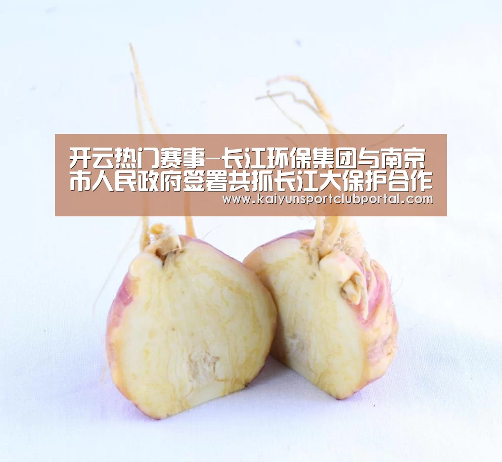 开云官方网站