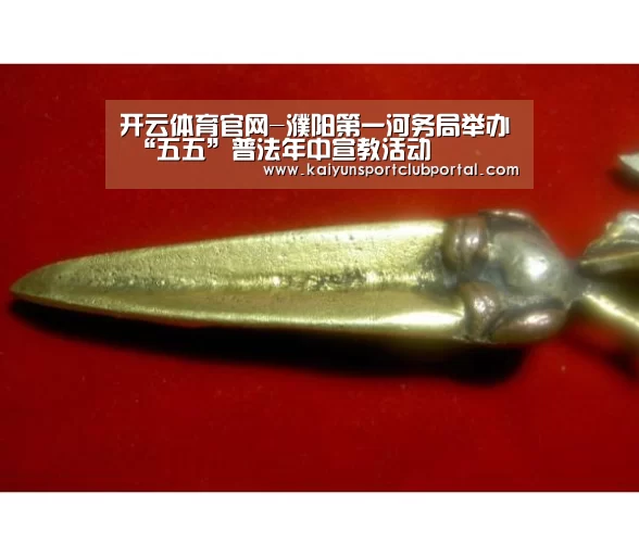 开云官方网站
