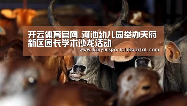 开云热门赛事