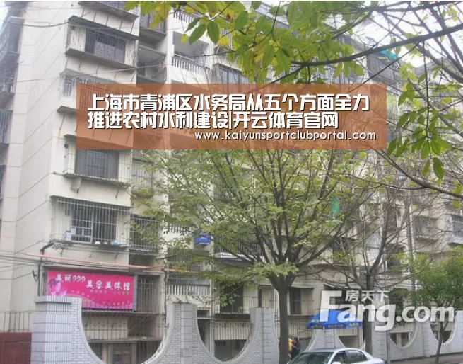 上海市青浦区水务局从五个方面全力推进农村水利建设|开云体育官网(图1) 开云热门赛事
