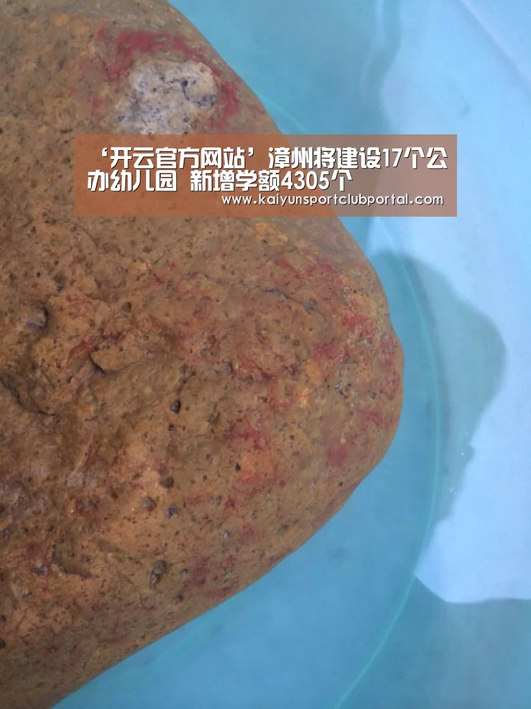 ‘开云官方网站’漳州将建设17个公办幼儿园 新增学额4305个(图1) 开云热门赛事