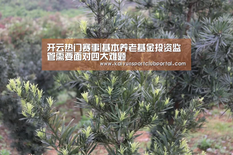 开云热门赛事|基本养老基金投资监管需要面对四大难题(图2) 开云热门赛事