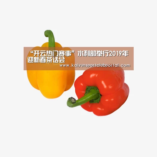 “开云热门赛事”水利部举行2019年迎新春茶话会(图1) KAIYUN体育