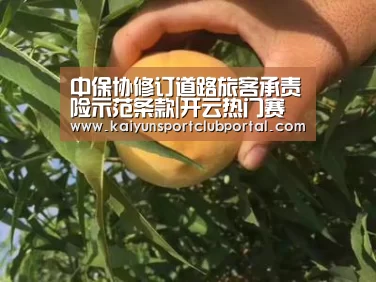 中保协修订道路旅客承责险示范条款|开云热门赛事(图1) 开云热门赛事