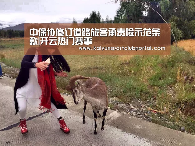 中保协修订道路旅客承责险示范条款|开云热门赛事(图4) 开云体育官网