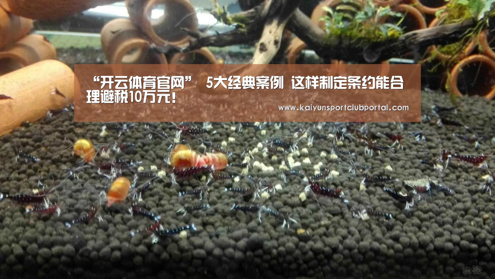 “开云体育官网”
5大经典案例 这样制定条约能合理避税10万元!(图3) 开云热门赛事